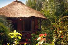 Resort at Sundarbans