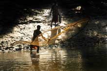 Fisherman in Sundarbans