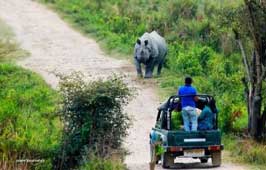 Kaziranga Tour Packages