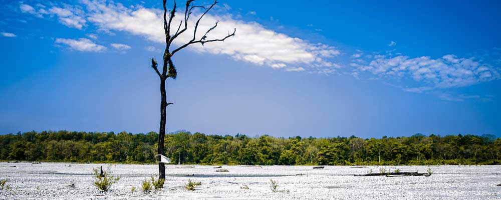 Sundarban Tourism